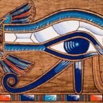 Egyptian whoop bird eye